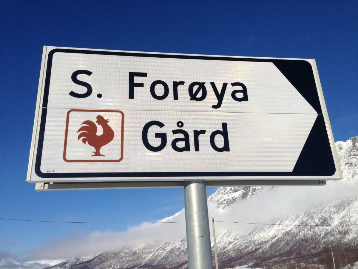 דירות טרומסה Sondre Foroya Gard מראה חיצוני תמונה